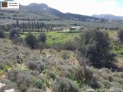 Peritz Kreta, Peri Grundstück 3.290m² mit Baugenehmigung Grundstück kaufen